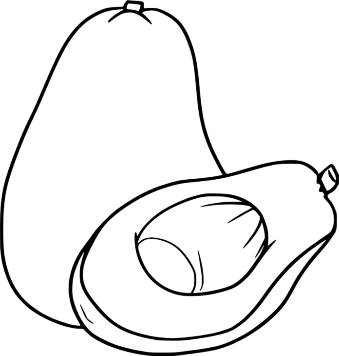 Avocado tegning printbar billede