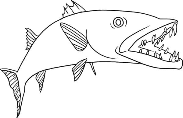 barracuda underwater coloring book printable