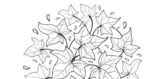 ivy in the garden coloring book to print