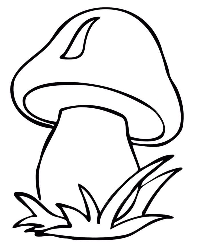 borowik - grzyby jadalne kolorowanka do drukowania