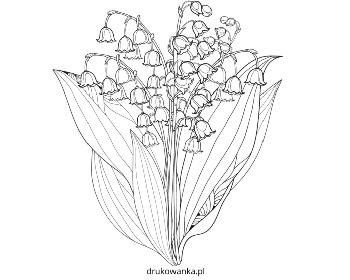 lily of the valley bouquet coloring book to print