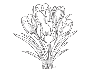 Färbung Blumenstrauß von Krokussen druckbar