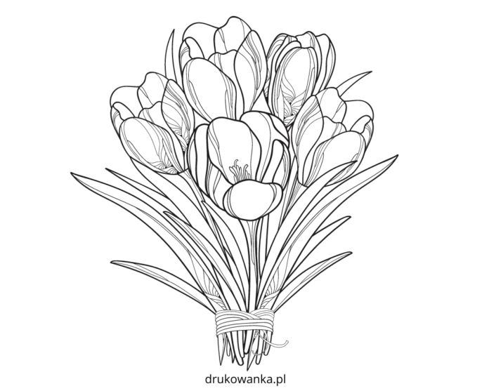bouquet of crocuses coloring book to print