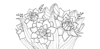 bouquet of gardenia flowers coloring book to print