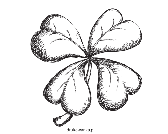 four-leaf field clover coloring book printable