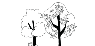 trees in autumn coloring book to print