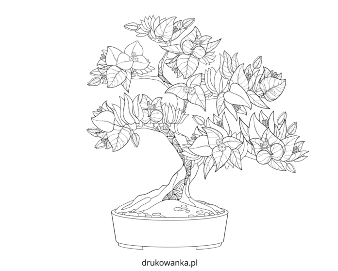 página para colorear del árbol de la suerte bonsái