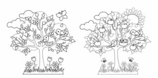 tree 4 seasons coloring book to print