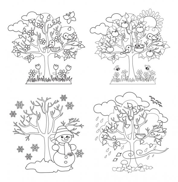 Kolorowanka Drzewo 4 pory roku do druku i online