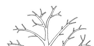 tree without leaves coloring book to print