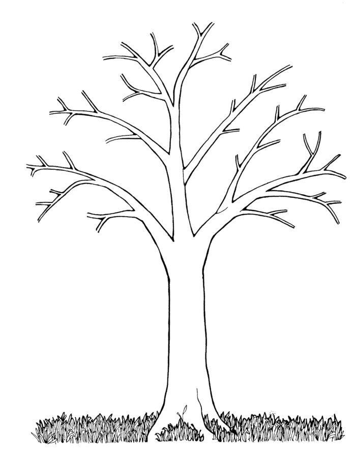 tree without leaves coloring book to print