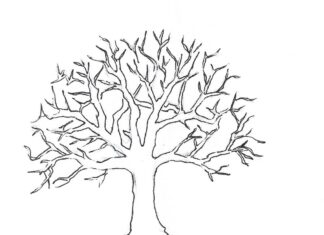 tree without leaves drawing coloring book to print