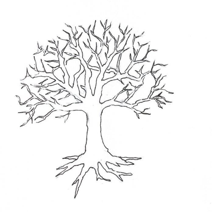 drzewo bez liści rysunek kolorowanka do drukowania