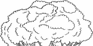 tree coloring page printable