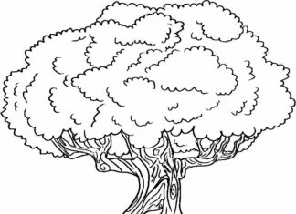 tree coloring page printable