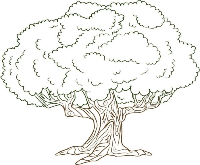 egetræ til farvelægning til udskrivning