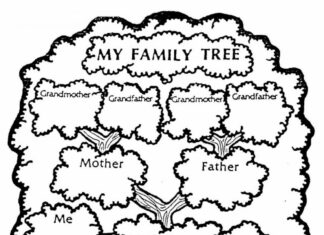 drzewo genealogiczne kolorowanka do drukowania