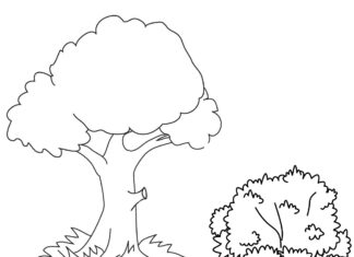 tree and bush coloring book to print