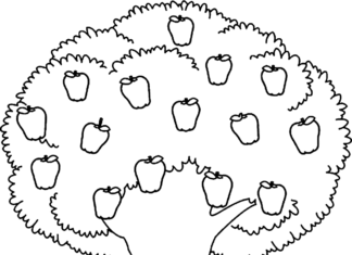 Färgbok om äppelträd som kan skrivas ut