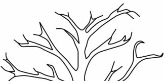 tree branch coloring book to print