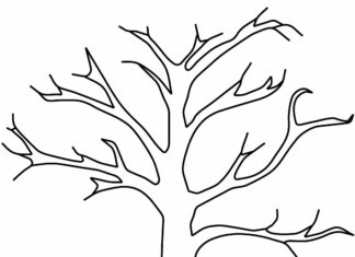 tree branch coloring book to print