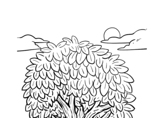 leafy tree coloring book to print
