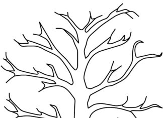 tree with no leaves colouring book to print
