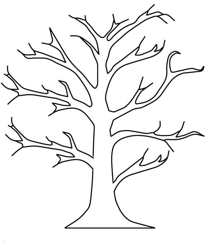 drzewo na którym nie ma liści kolorowanka do drukowania