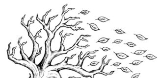 tree in the wind printable coloring book