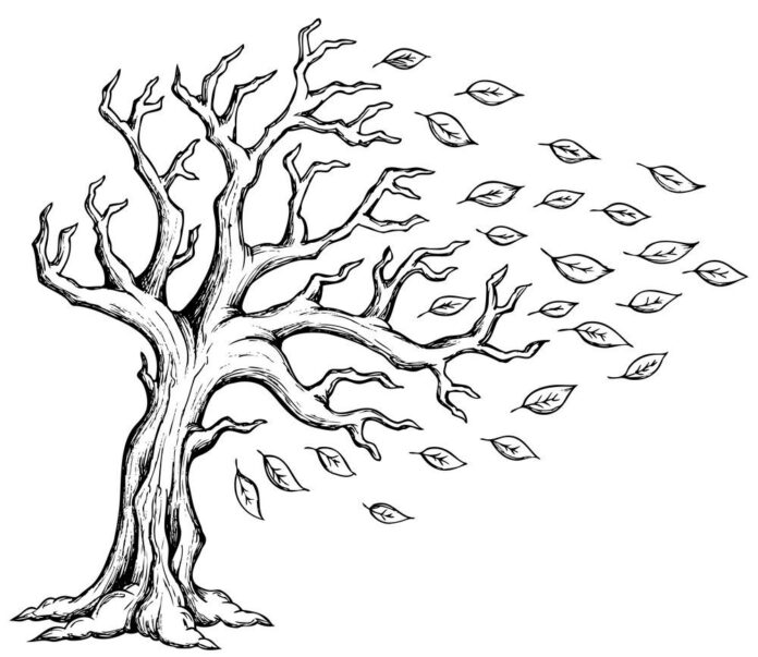 livre de coloriage "tree in the wind" à imprimer