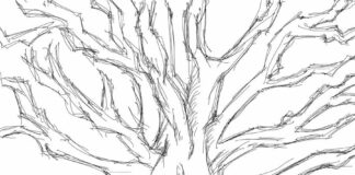 tree sketch coloring book to print