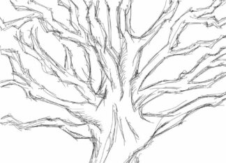 náčrt stromu na vytlačenie omaľovánky