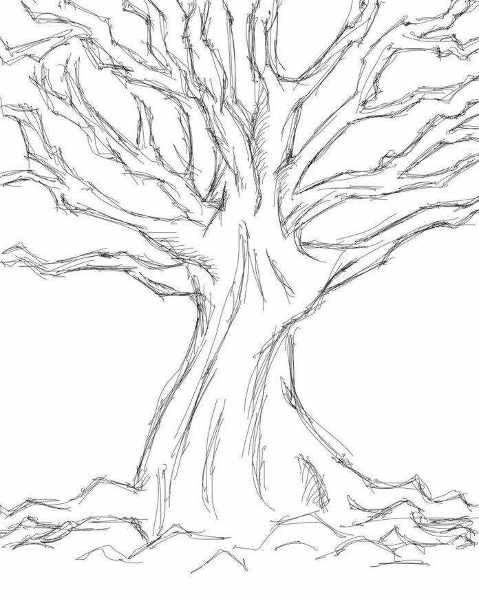 tree sketch coloring book to print