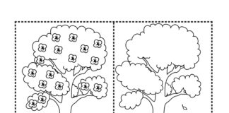 tree in four seasons coloring book to print