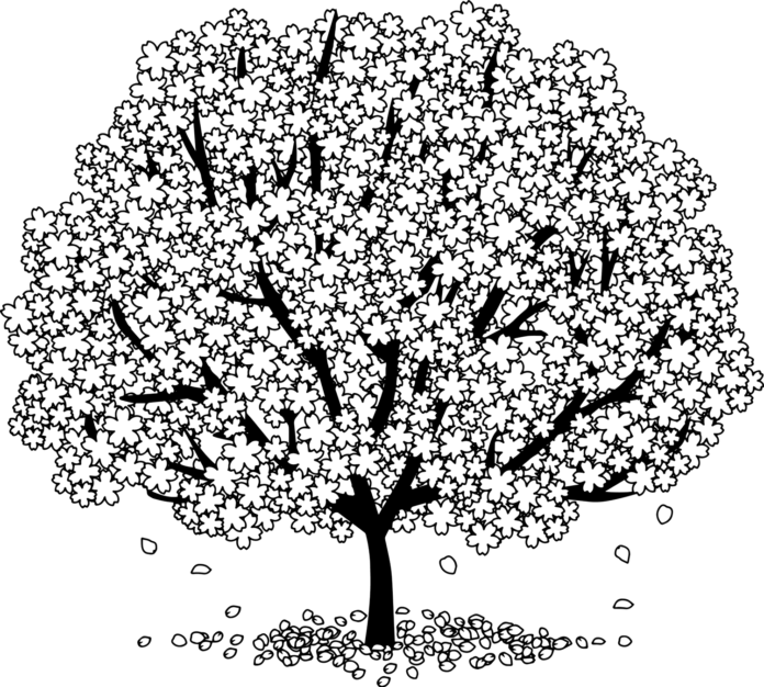 kirschbaum ausdruckbares malbuch