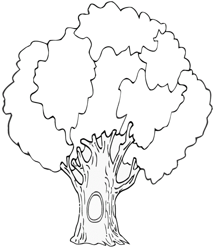 Baum mit einem hohlen Malbuch zum Ausdrucken