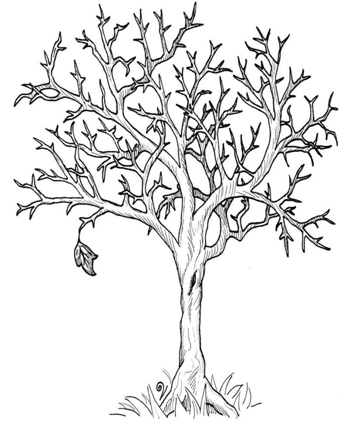 strom s větvemi omalovánky k vytisknutí