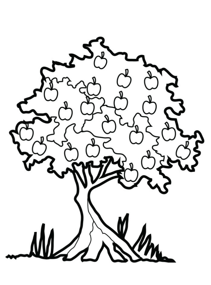 tree with apples coloring book to print