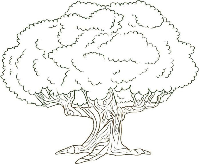 arbre avec une couronne livre de coloriage à imprimer