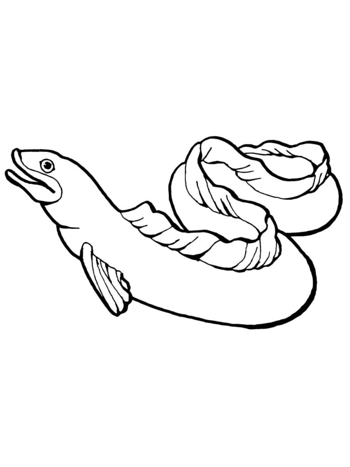 large eel coloring book to print