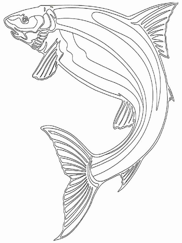 large salmon underwater coloring book to print
