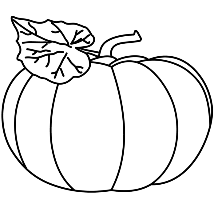 pumpkin with a leaf coloring book to print