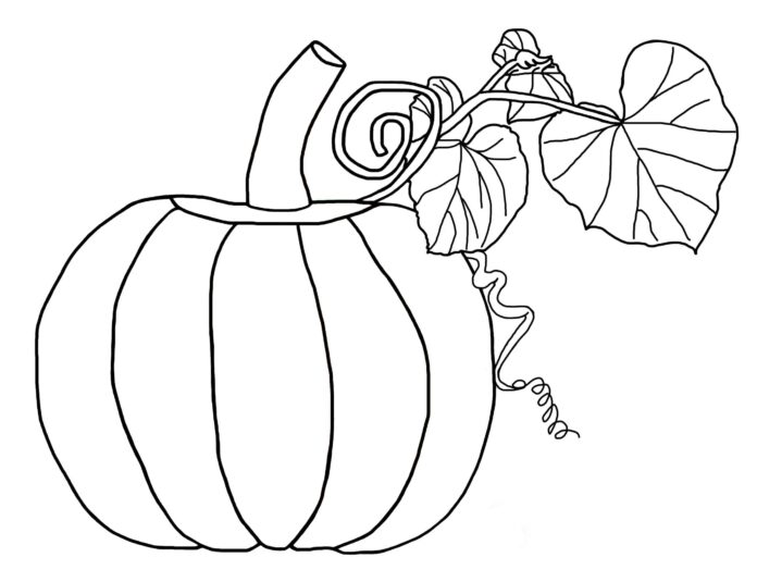 livre de coloriage "Pumpkin with a sprout" à imprimer