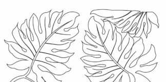 jungle leaves coloring book to print