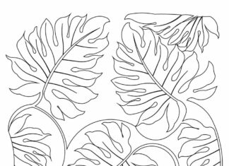 dżungla liście kolorowanka do drukowania