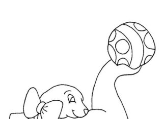 seal on a show coloring book to print