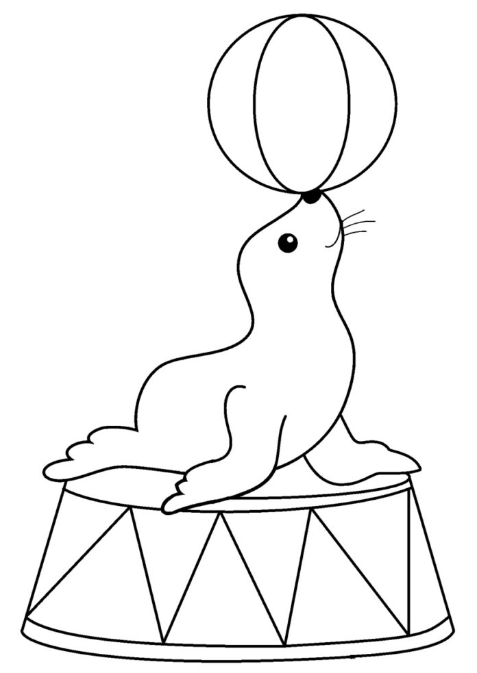 seal with ball coloring book to print