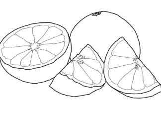 Nakrájaný grapefruit obrázok na vytlačenie
