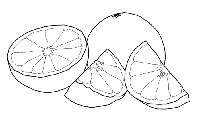 Sliced grapefruit picture to print