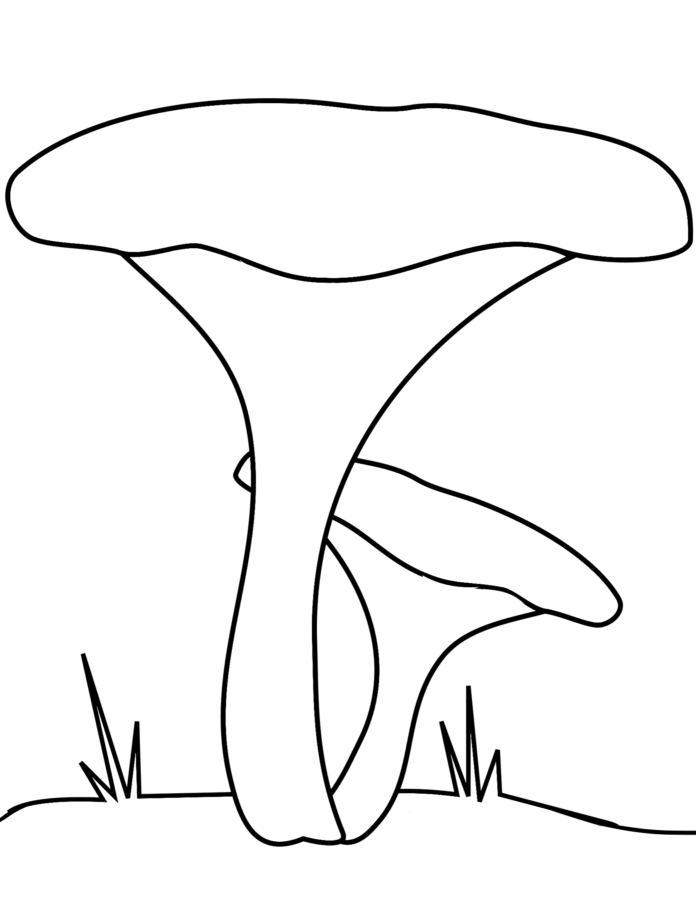 chanterelle mushroom coloring book to print